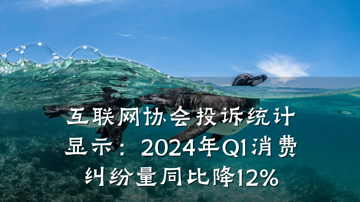 互联网协会投诉统计显示：2024年Q1消费纠纷量同比降12%