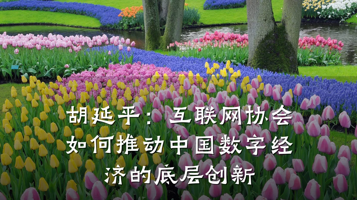 胡延平:互联网协会如何推动中国数字经济的底层创新