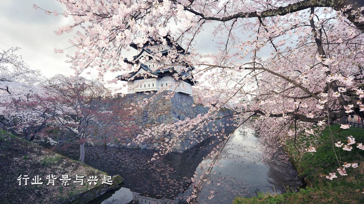 行业背景与兴起