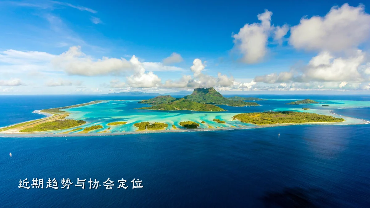 近期趋势与协会定位