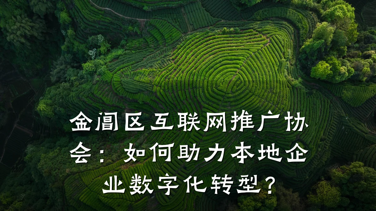 金阊区互联网推广协会:如何助力本地企业数字化转型?