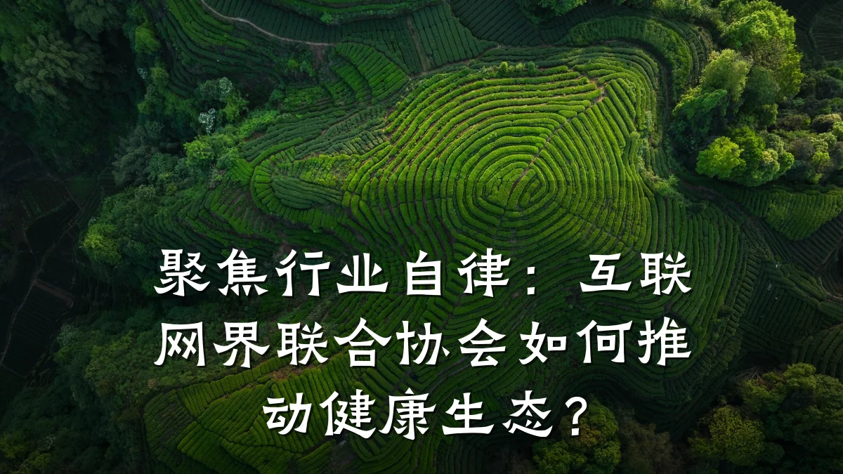 聚焦行业自律:互联网界联合协会如何推动健康生态?