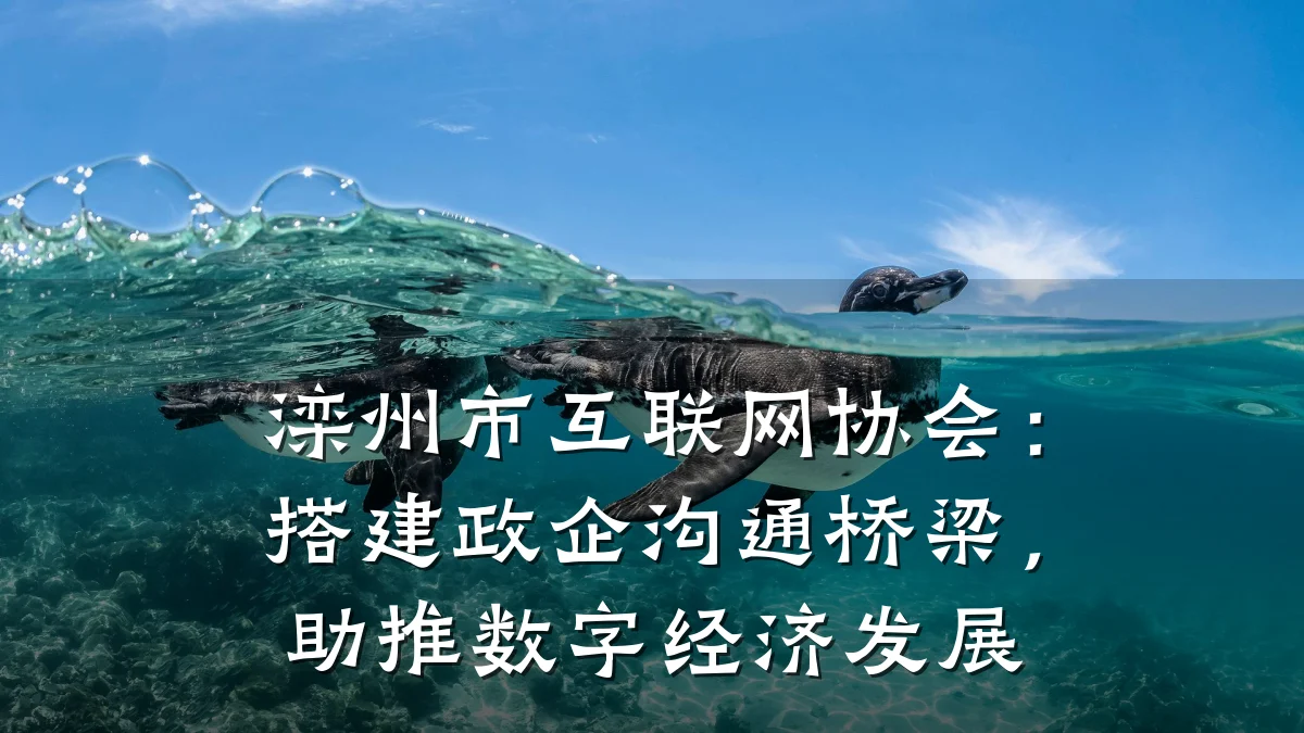 滦州市互联网协会:搭建政企沟通桥梁,助推数字经济发展