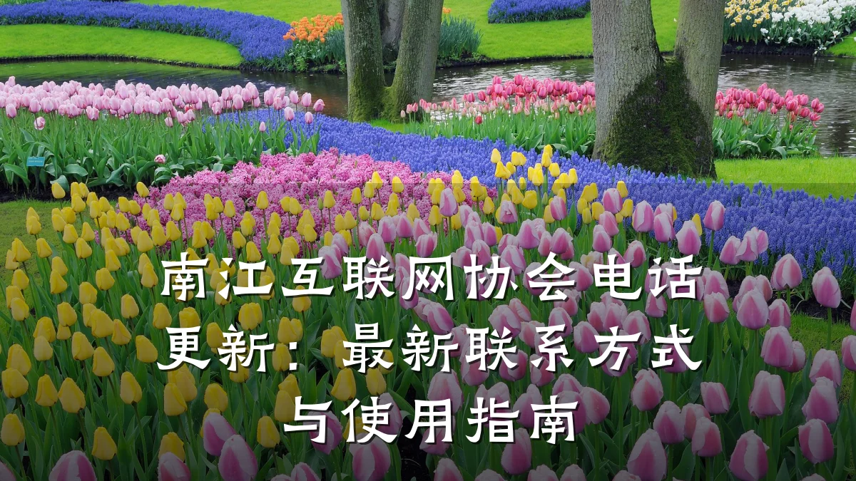 南江互联网协会电话更新：最新联系方式与使用指南