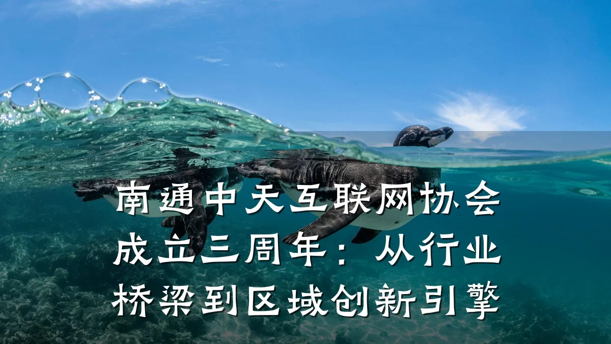 南通中天互联网协会成立三周年：从行业桥梁到区域创新引擎