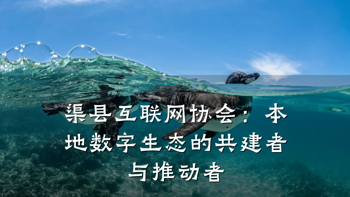 渠县互联网协会：本地数字生态的共建者与推动者