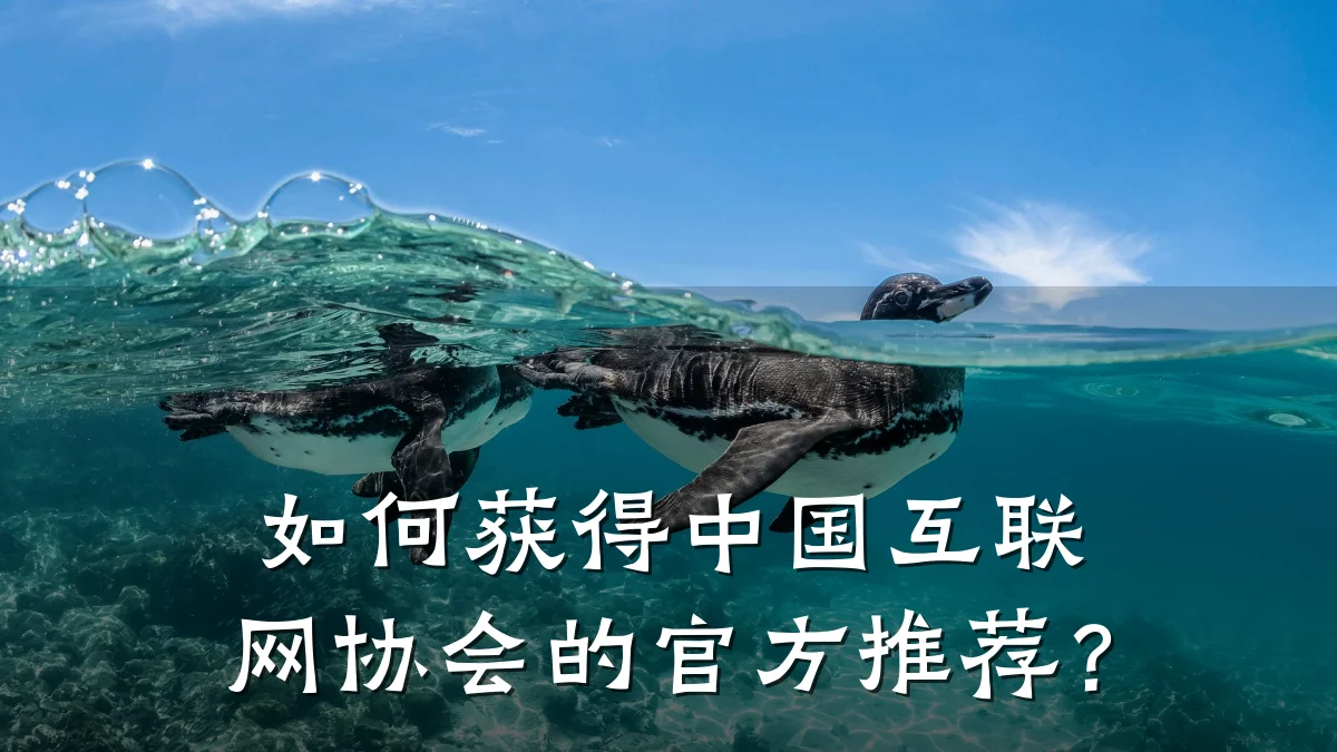 如何获得中国互联网协会的官方推荐?