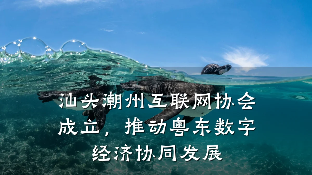 汕头潮州互联网协会成立,推动粤东数字经济协同发展
