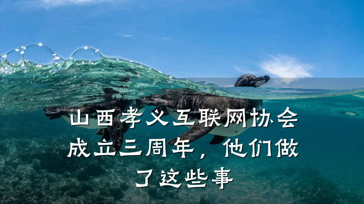 山西孝义互联网协会成立三周年,他们做了这些事