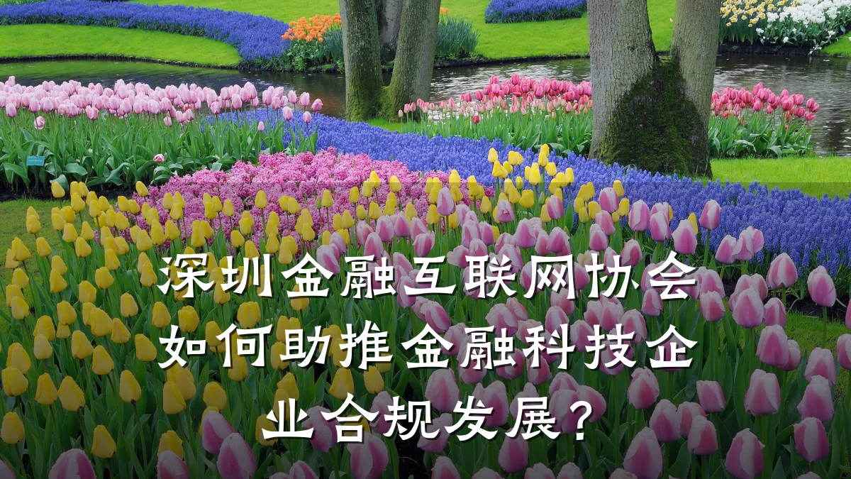 深圳金融互联网协会如何助推金融科技企业合规发展?