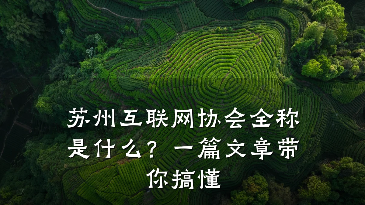 苏州互联网协会全称是什么?一篇文章带你搞懂