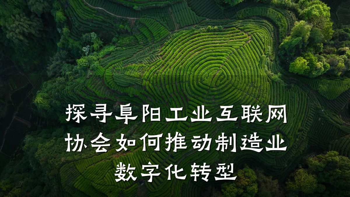 探寻阜阳工业互联网协会如何推动制造业数字化转型