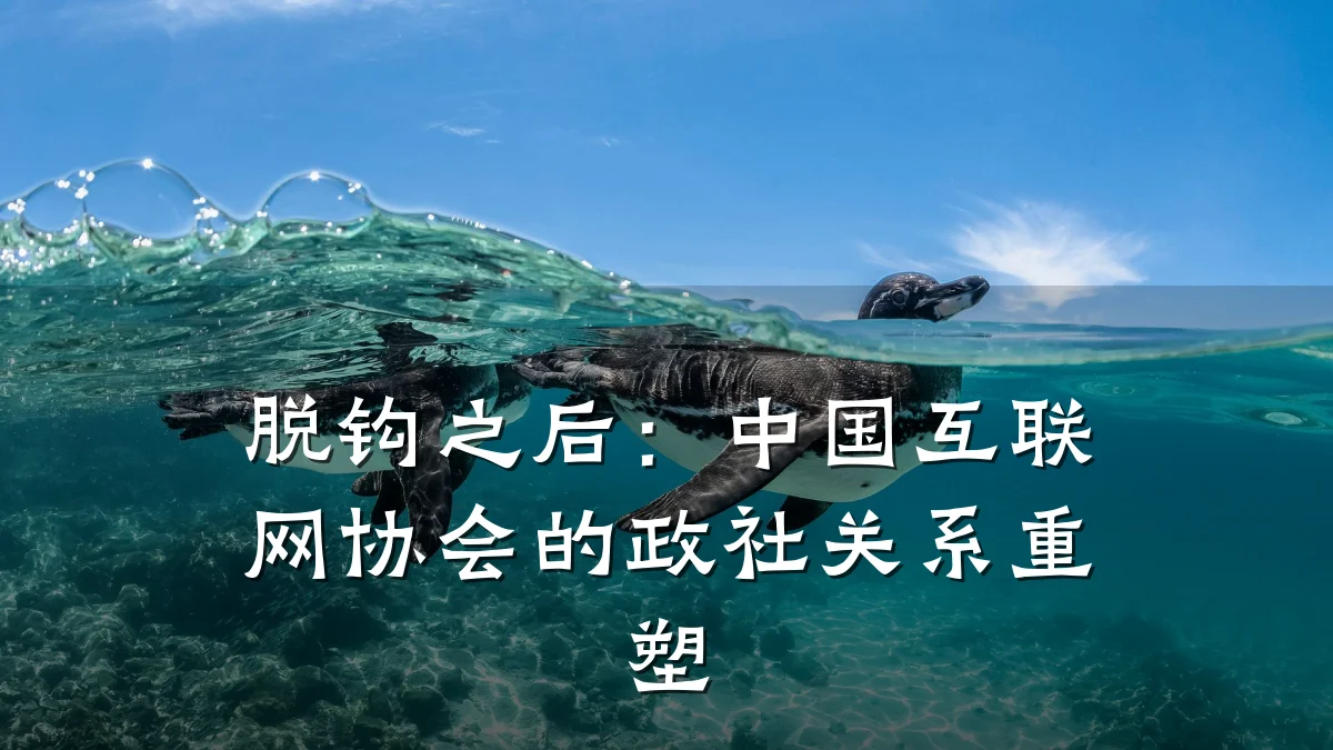脱钩之后：中国互联网协会的政社关系重塑