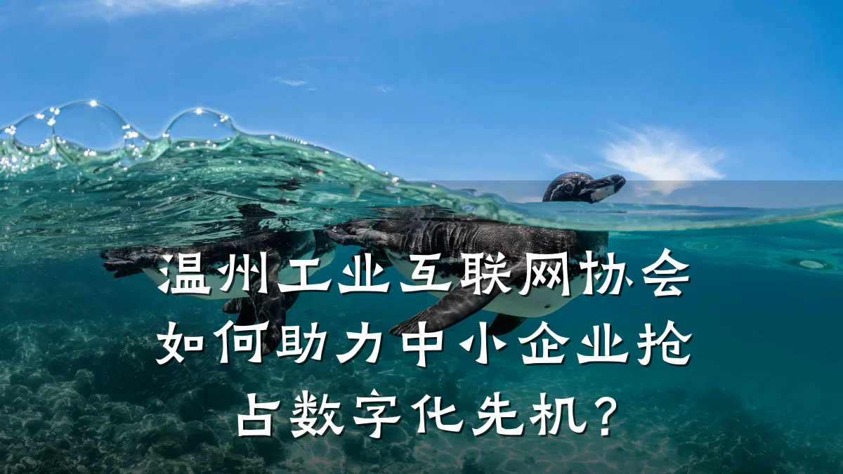 温州工业互联网协会如何助力中小企业抢占数字化先机？