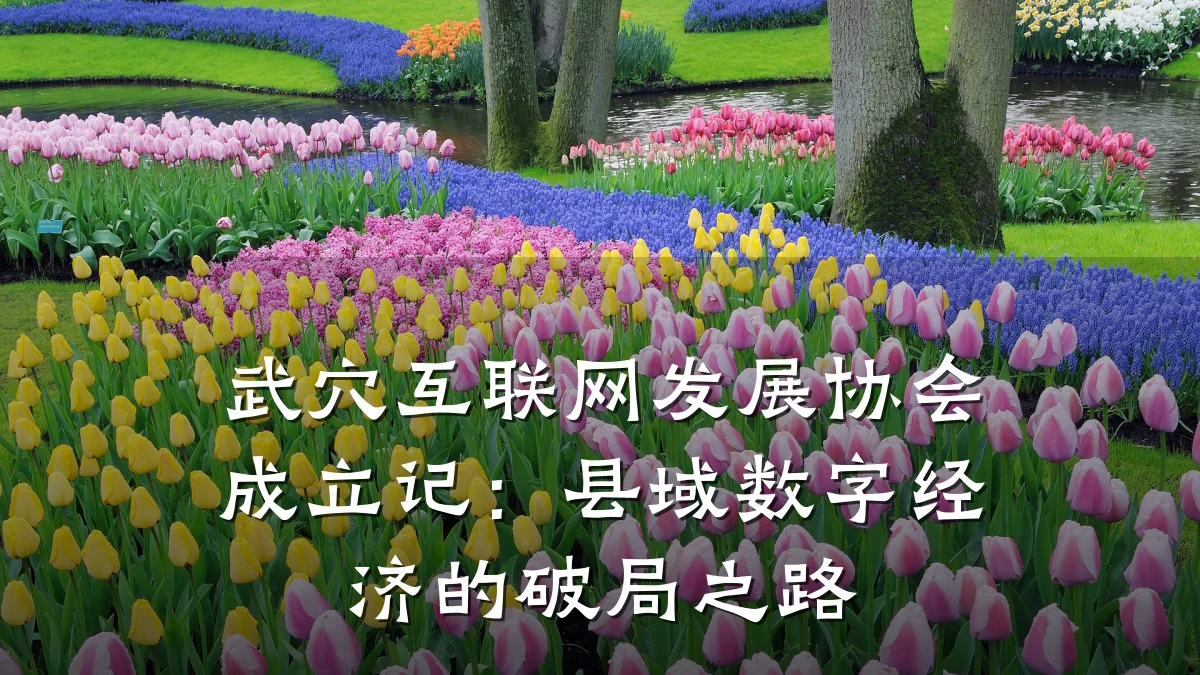 武穴互联网发展协会成立记：县域数字经济的破局之路