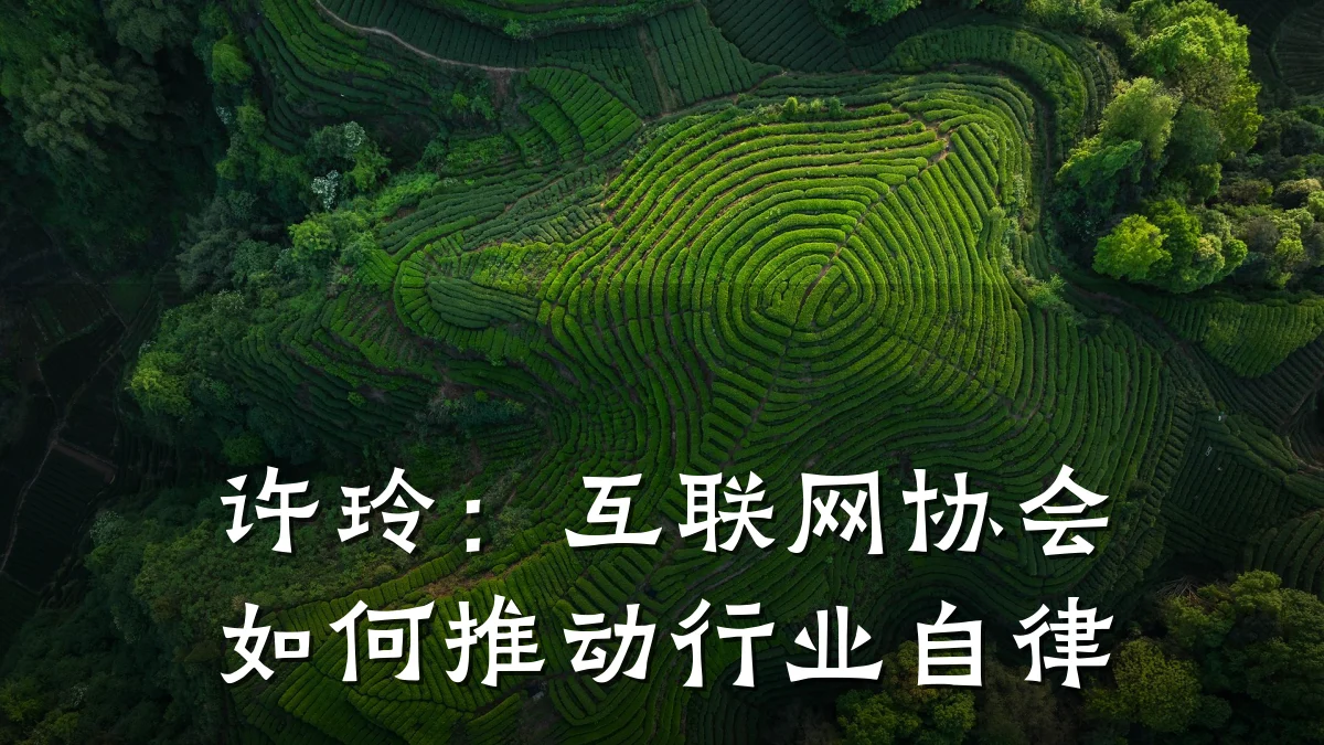 许玲：互联网协会如何推动行业自律