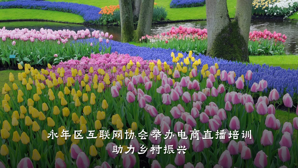 永年区互联网协会举办电商直播培训 助力乡村振兴