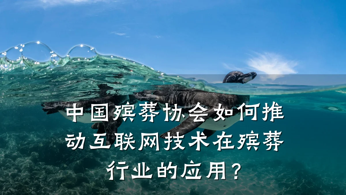 中国殡葬协会如何推动互联网技术在殡葬行业的应用?