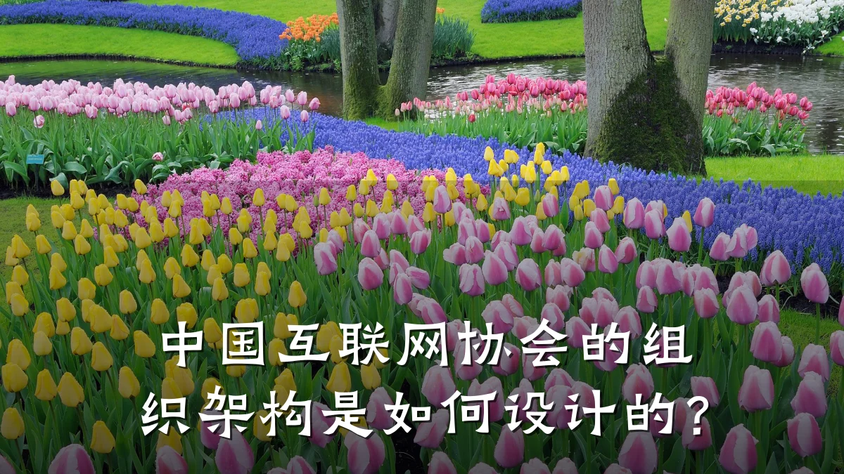 中国互联网协会的组织架构是如何设计的？
