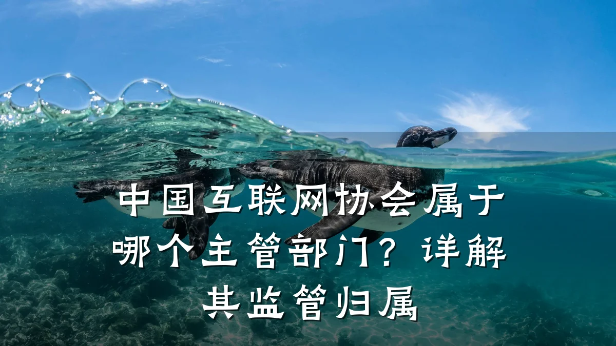 中国互联网协会属于哪个主管部门？详解其监管归属