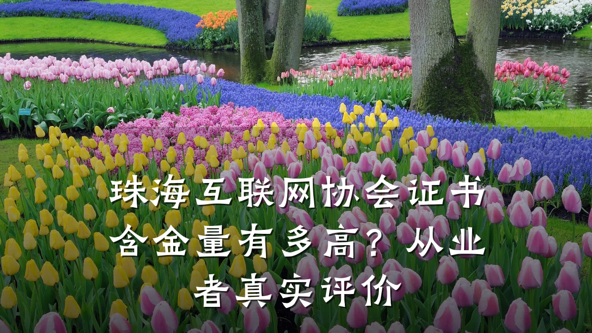 珠海互联网协会证书含金量有多高?从业者真实评价
