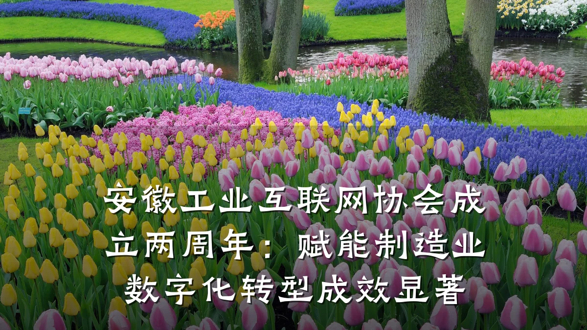 安徽工业互联网协会成立两周年:赋能制造业数字化转型成效显著