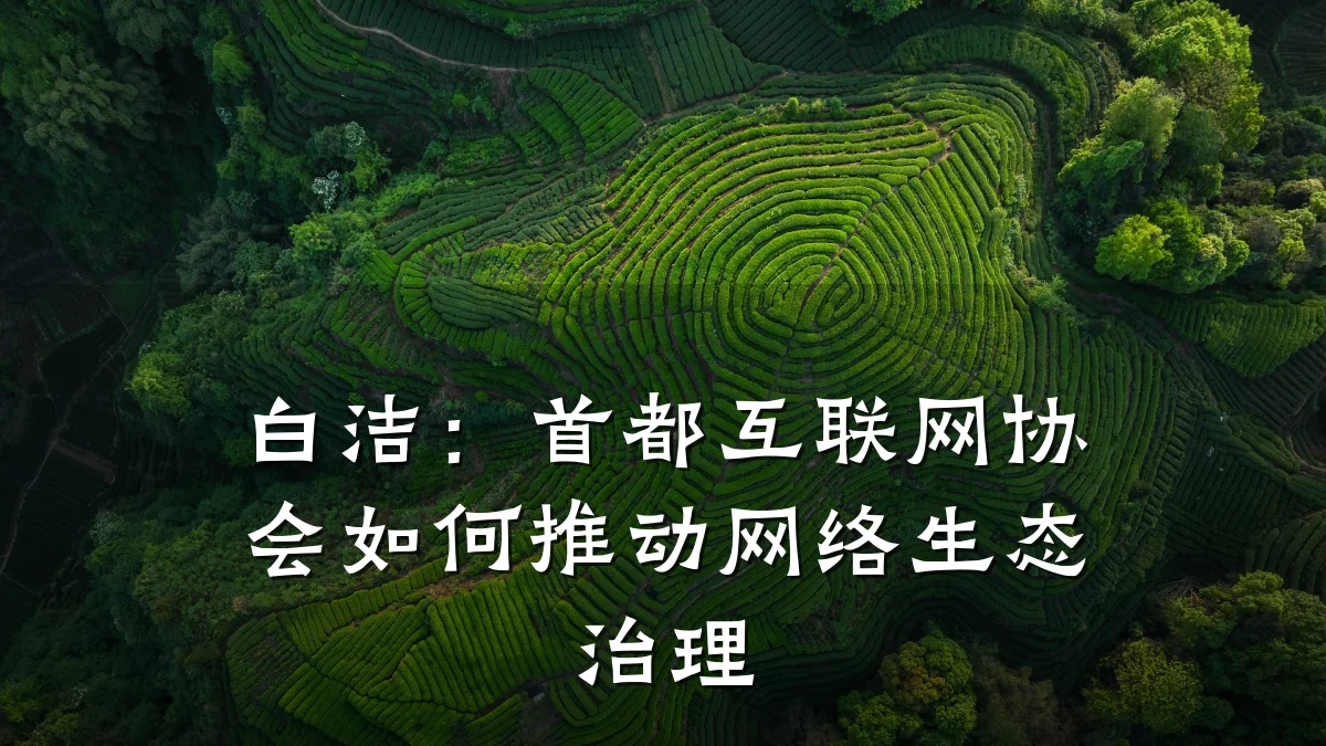 白洁：首都互联网协会如何推动网络生态治理