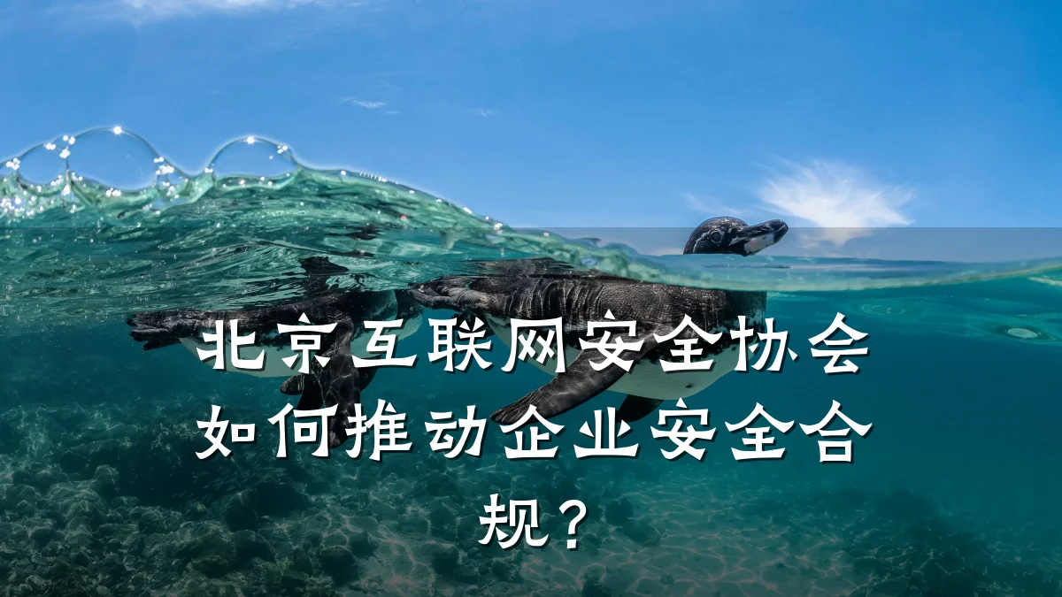 北京互联网安全协会如何推动企业安全合规？