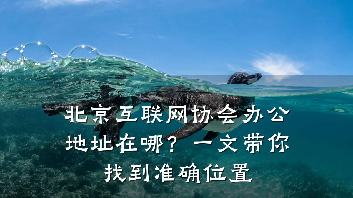 北京互联网协会办公地址在哪？一文带你找到准确位置