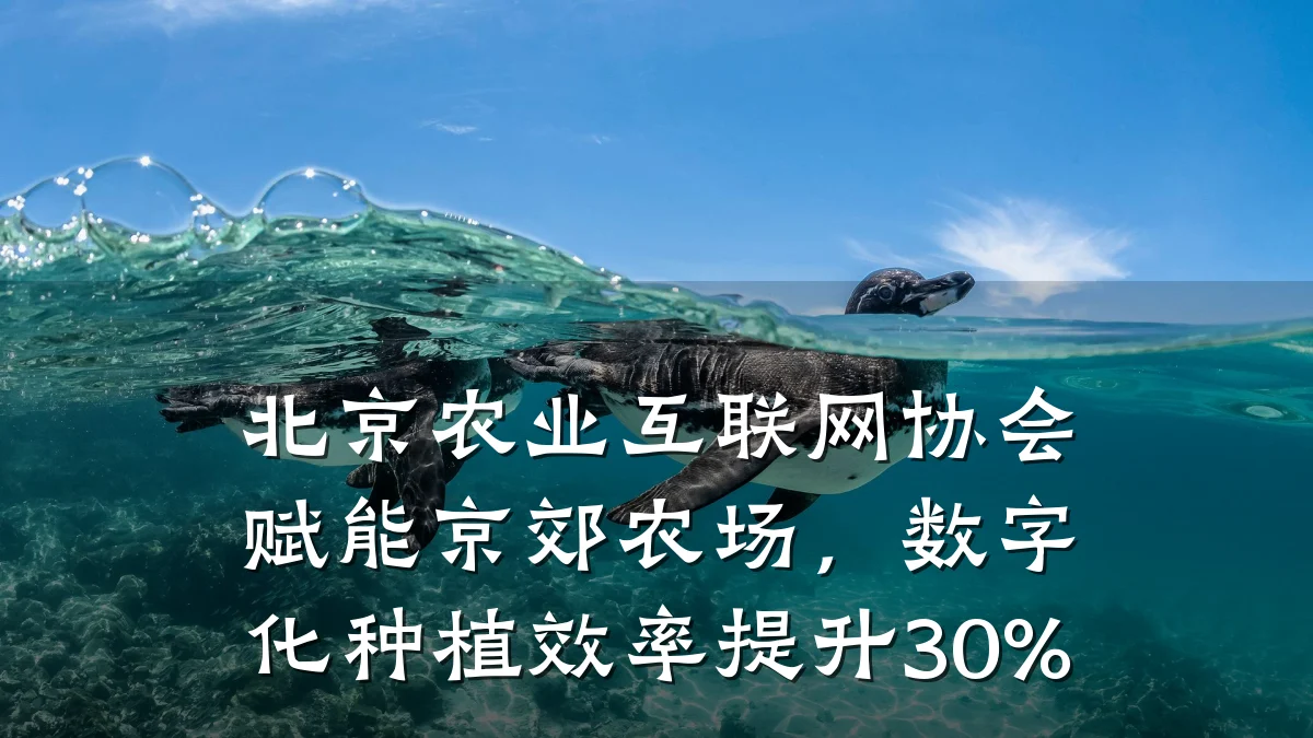 北京农业互联网协会赋能京郊农场，数字化种植效率提升30%