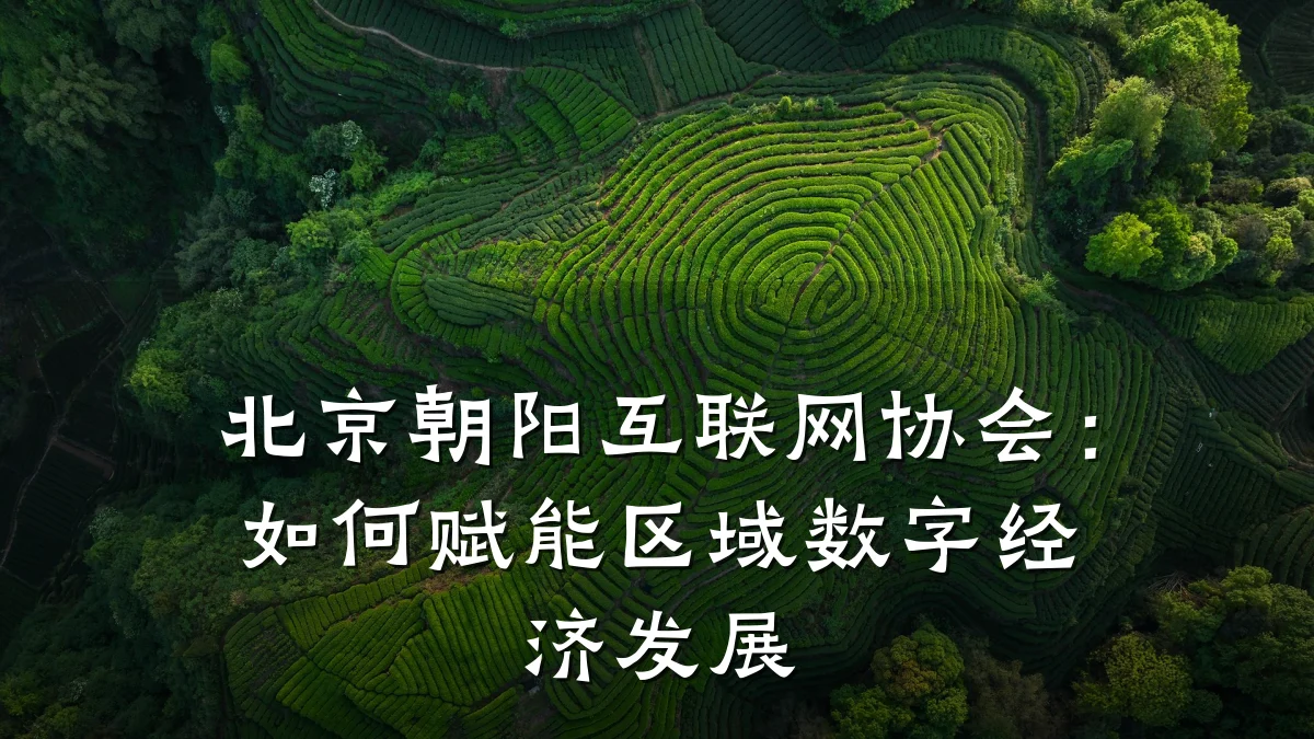 北京朝阳互联网协会：如何赋能区域数字经济发展