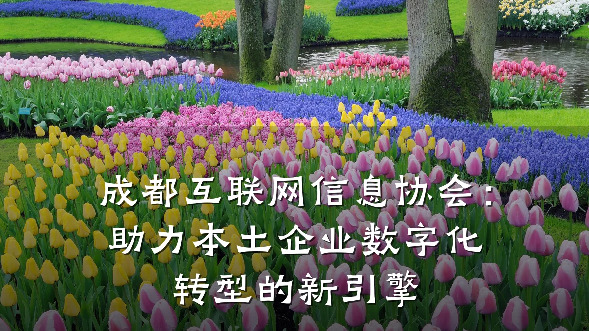 成都互联网信息协会：助力本土企业数字化转型的新引擎