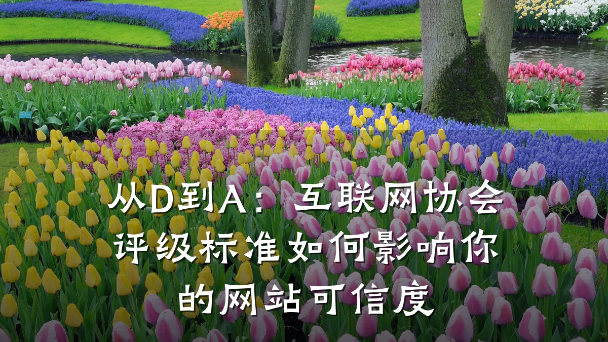 从D到A：互联网协会评级标准如何影响你的网站可信度