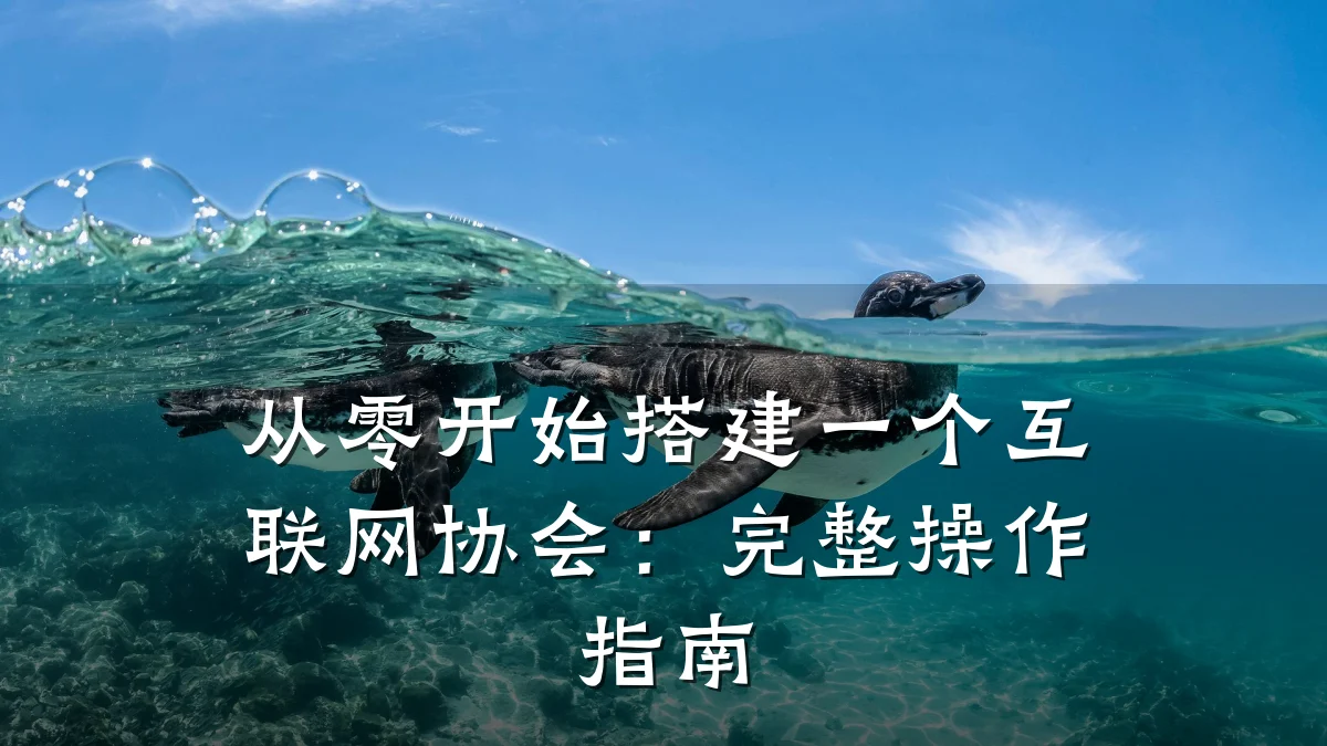 从零开始搭建一个互联网协会：完整操作指南