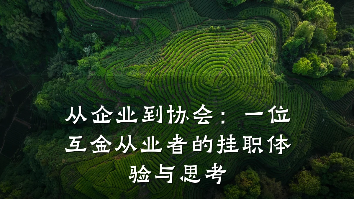 从企业到协会：一位互金从业者的挂职体验与思考