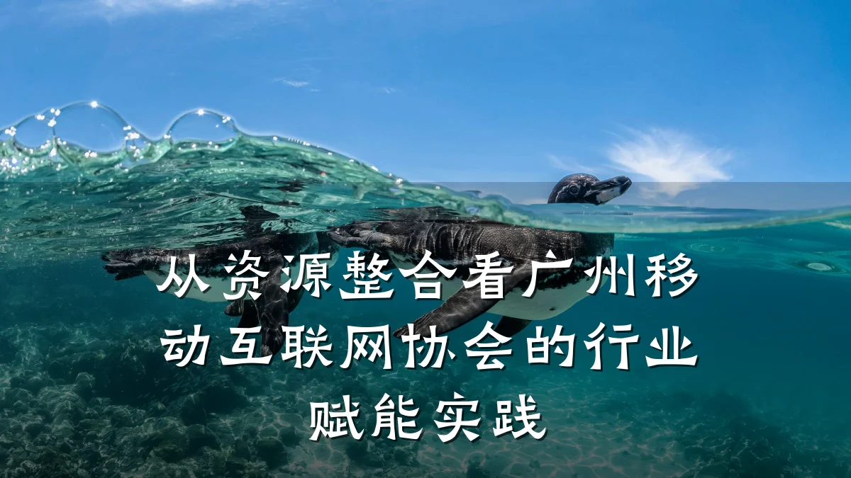 从资源整合看广州移动互联网协会的行业赋能实践