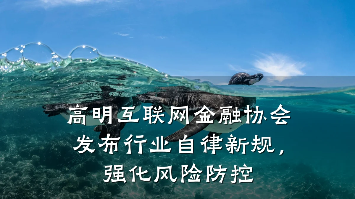 高明互联网金融协会发布行业自律新规，强化风险防控
