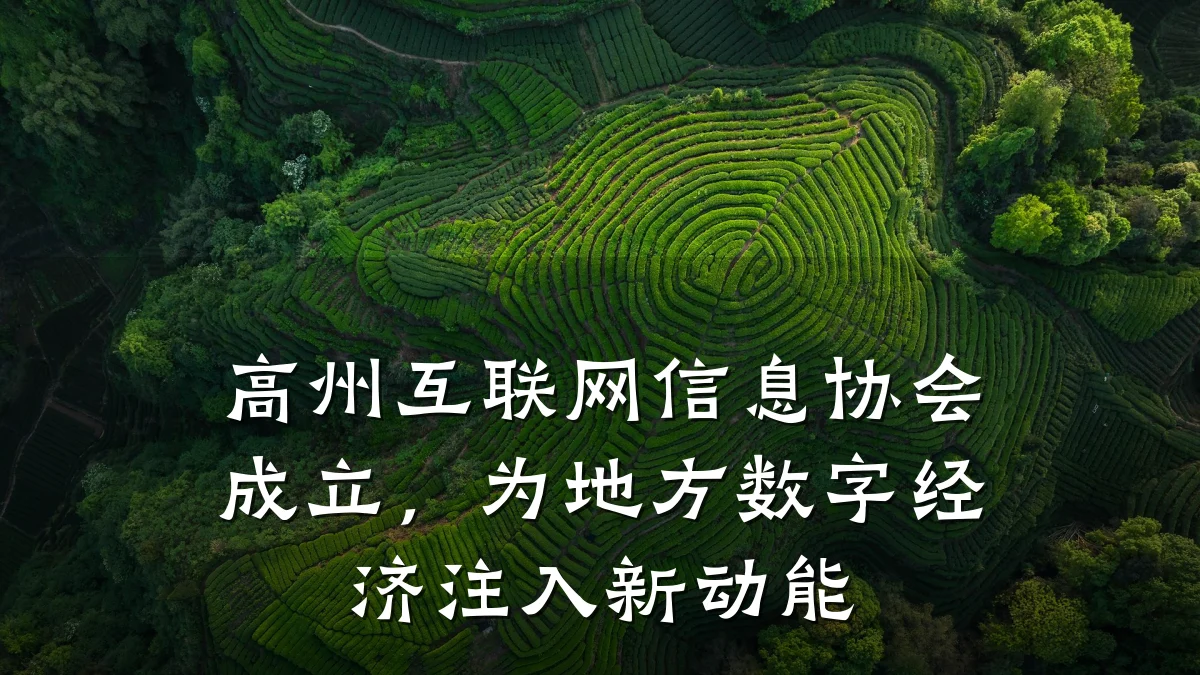 高州互联网信息协会成立，为地方数字经济注入新动能