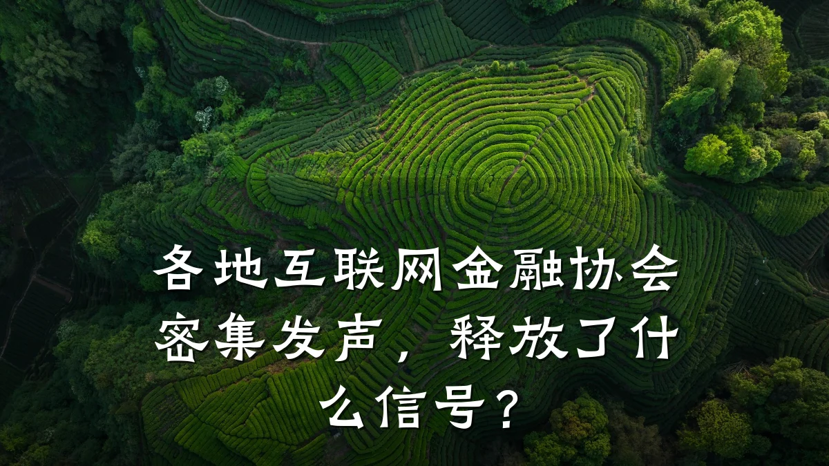 各地互联网金融协会密集发声，释放了什么信号？