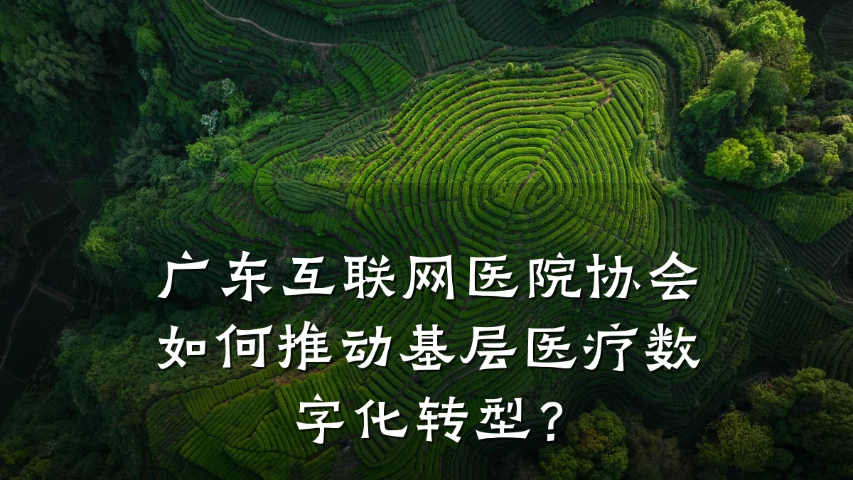 广东互联网医院协会如何推动基层医疗数字化转型？