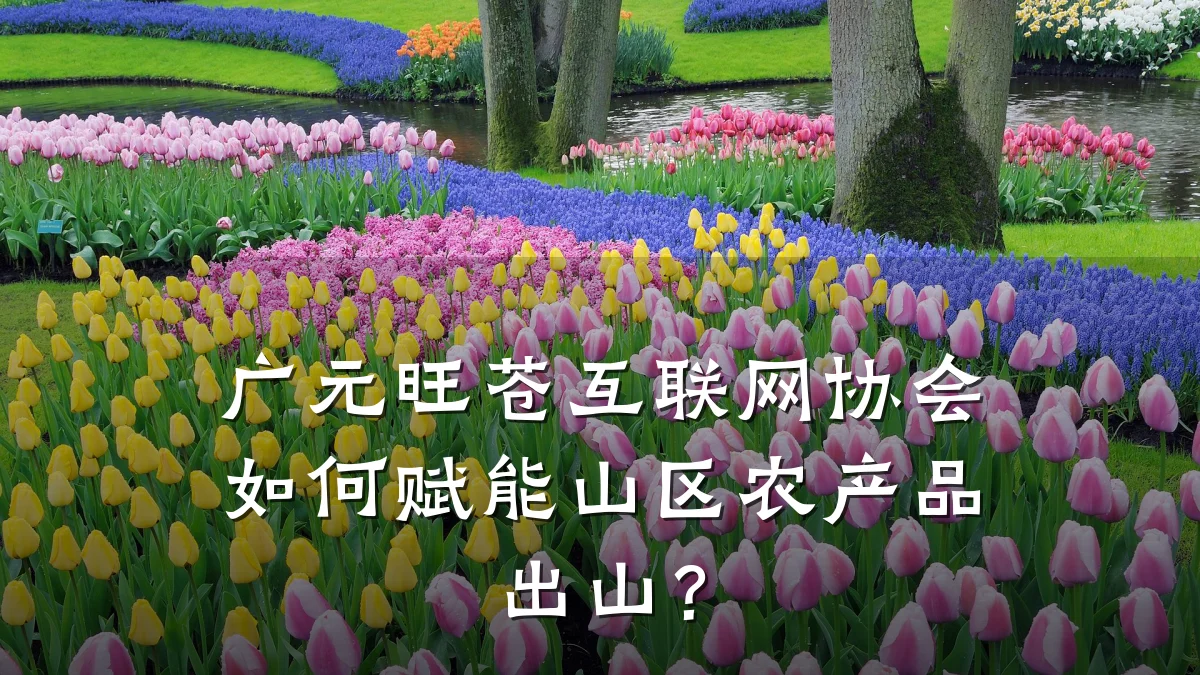 广元旺苍互联网协会如何赋能山区农产品出山?