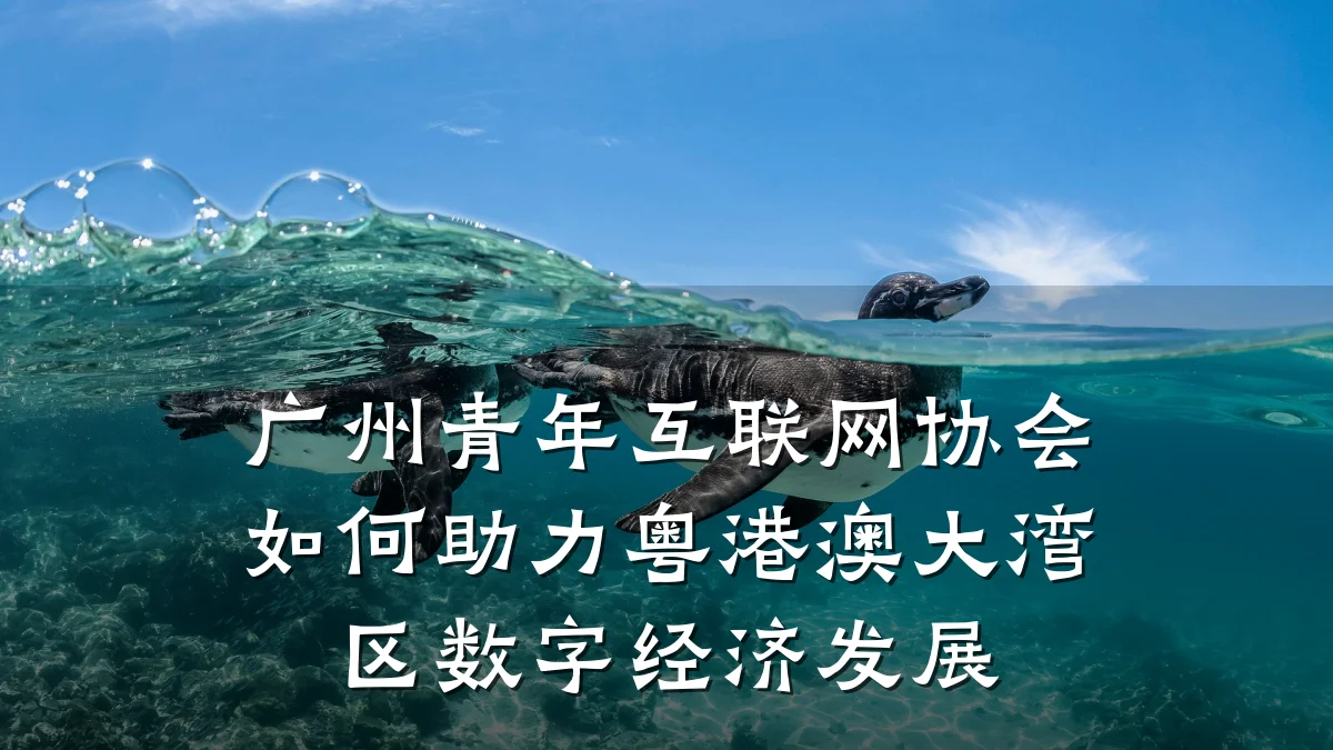 广州青年互联网协会如何助力粤港澳大湾区数字经济发展