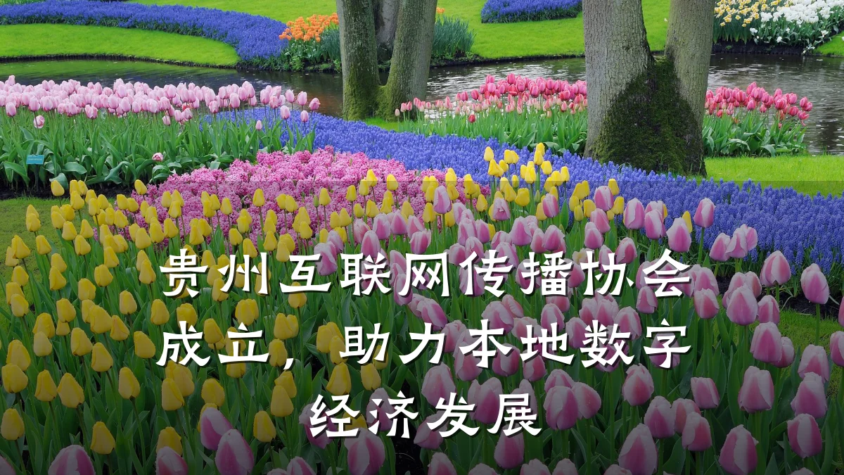 贵州互联网传播协会成立，助力本地数字经济发展