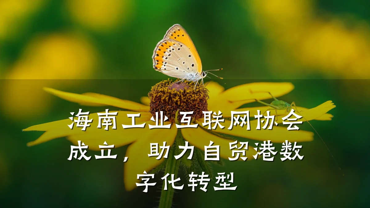 海南工业互联网协会成立，助力自贸港数字化转型