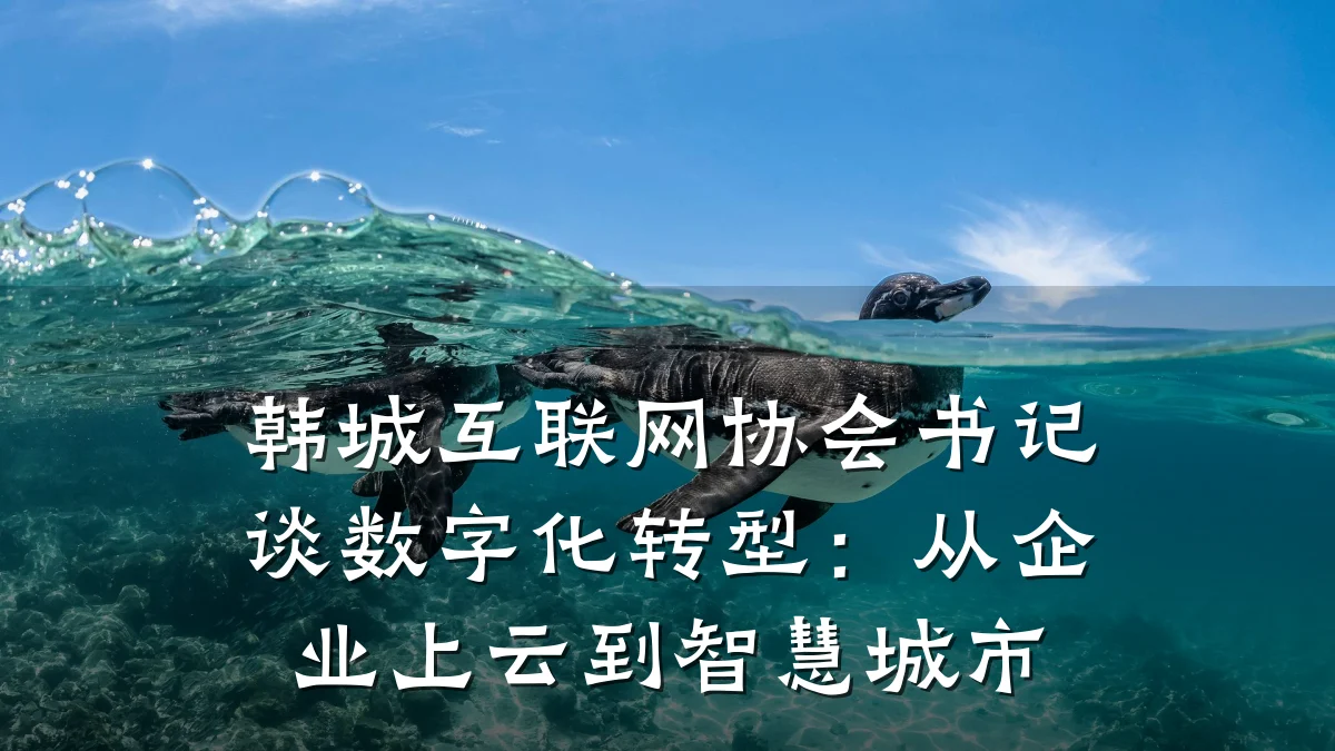 韩城互联网协会书记谈数字化转型：从企业上云到智慧城市
