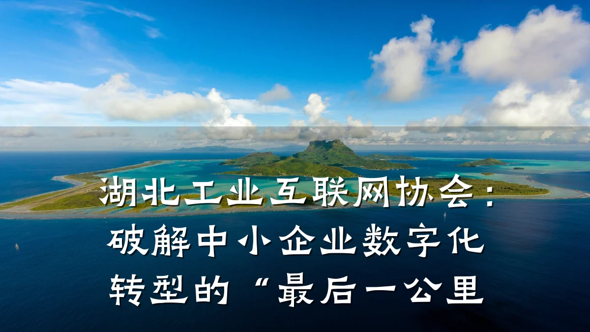 湖北工业互联网协会:破解中小企业数字化转型的“最后一公里