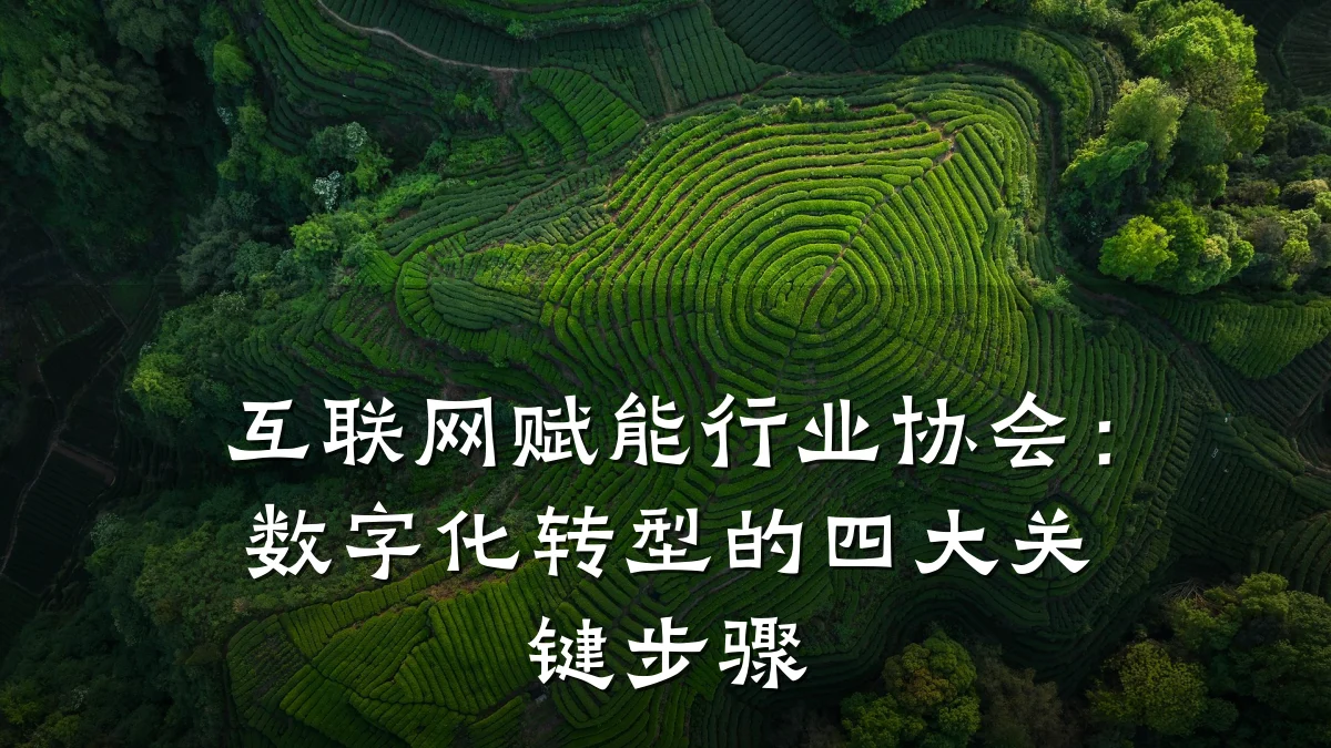 互联网赋能行业协会：数字化转型的四大关键步骤