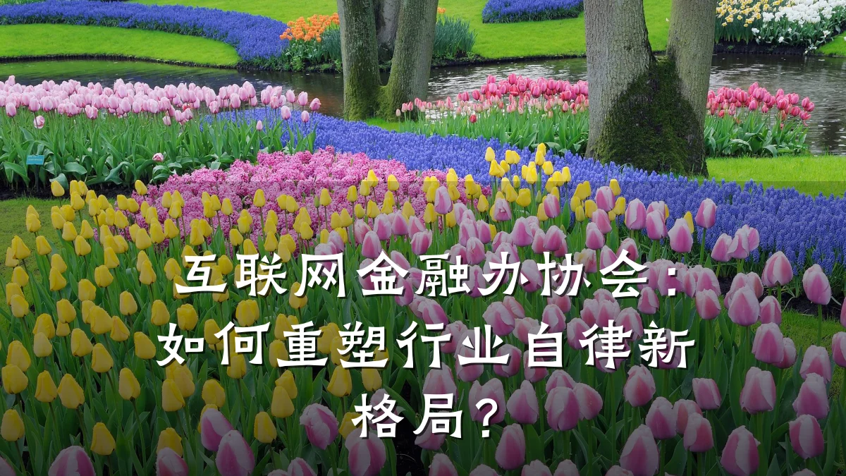 互联网金融办协会：如何重塑行业自律新格局？