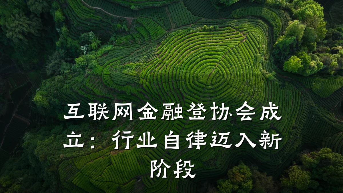 互联网金融登协会成立：行业自律迈入新阶段