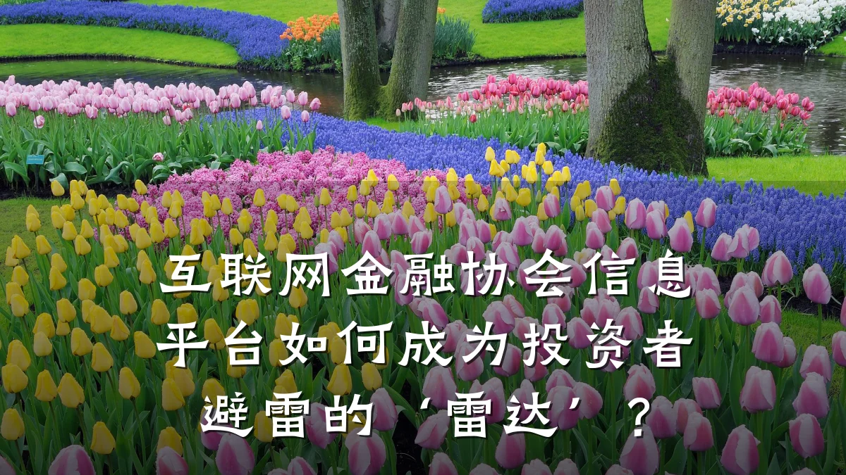 互联网金融协会信息平台如何成为投资者避雷的‘雷达’？